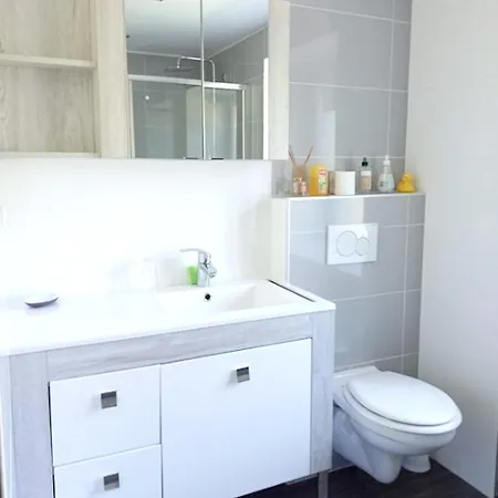 De 2 Chambres Avec Terrasse Amenagee Et Wifi A Apartment Mittlach
